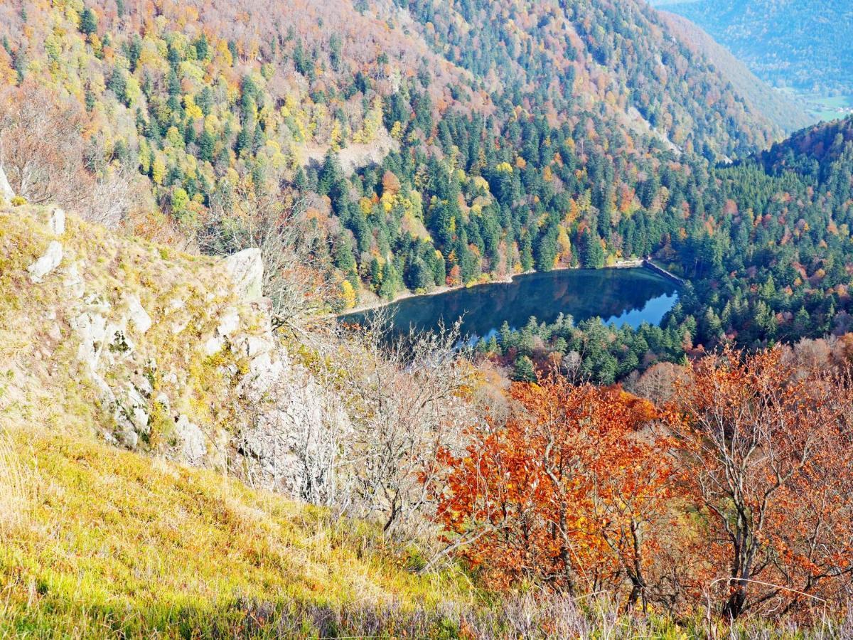 Appartement Maison Vosgienne La Bresse Centre エクステリア 写真